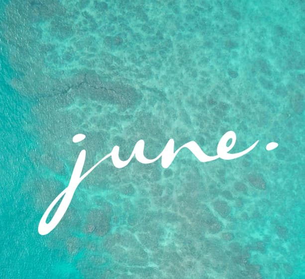 June Sodic North Coast