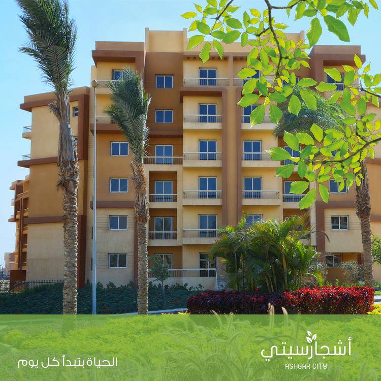 Ashgar City compound