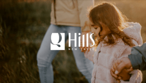 Q Hills New Zayed
