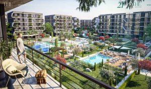 Belva Zayed Compound
