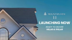 Mountain View 1.1
