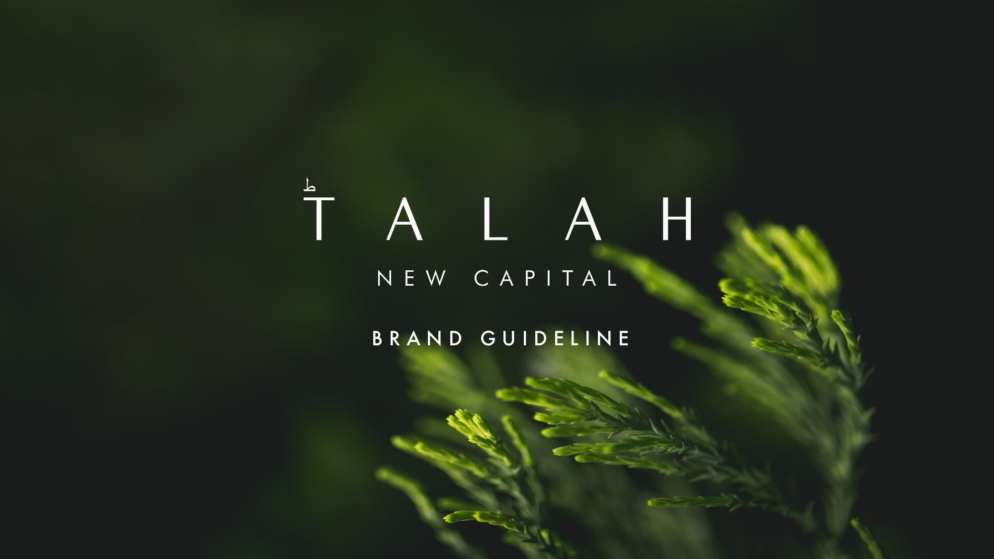 طلة العاصمة الادارية الجديدة Talah New Capital
